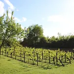 Oda ve Kahvaltı La Vigneraie De Laura 4*