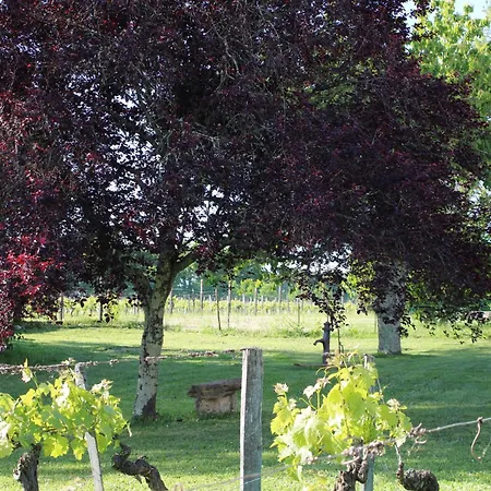 Oda ve Kahvaltı La Vigneraie De Laura