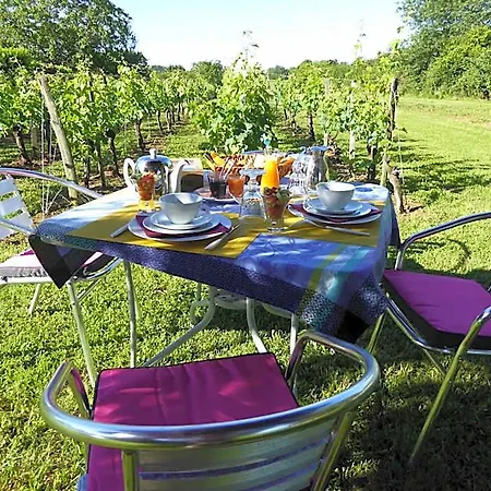 La Vigneraie De Laura Sainte-Colombe (Gironde)