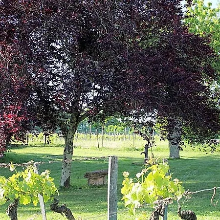 Panzió La Vigneraie De Laura Sainte-Colombe (Gironde)